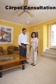 Carpet_Cleaning_Consultation.jpg